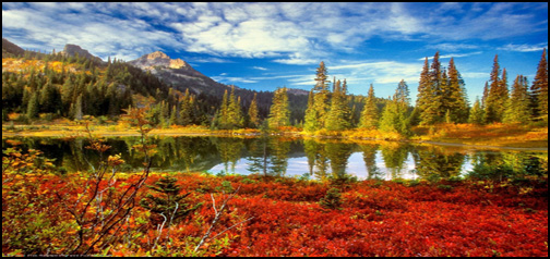 Autumn At The Lake