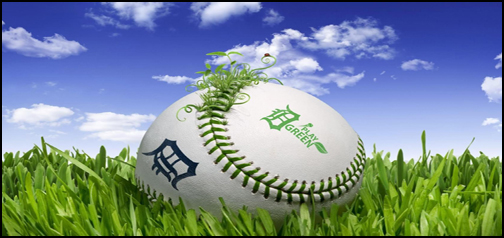 Baseball on Green Lawn