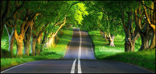 Country Road