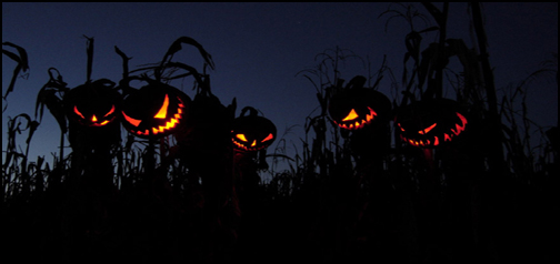 Scarey Pumpkins 